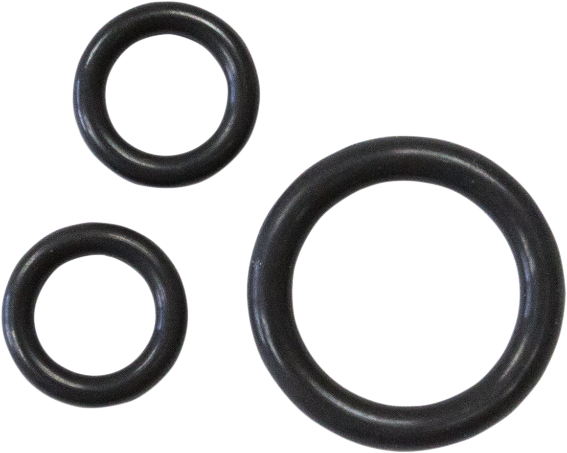 Oil Pump O-Ring Kit - Twin Cam 1999 - 2016