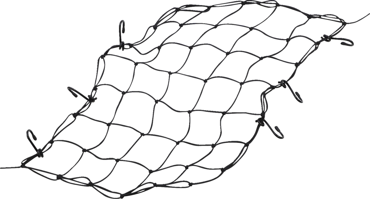 Elastic Net with Hooks