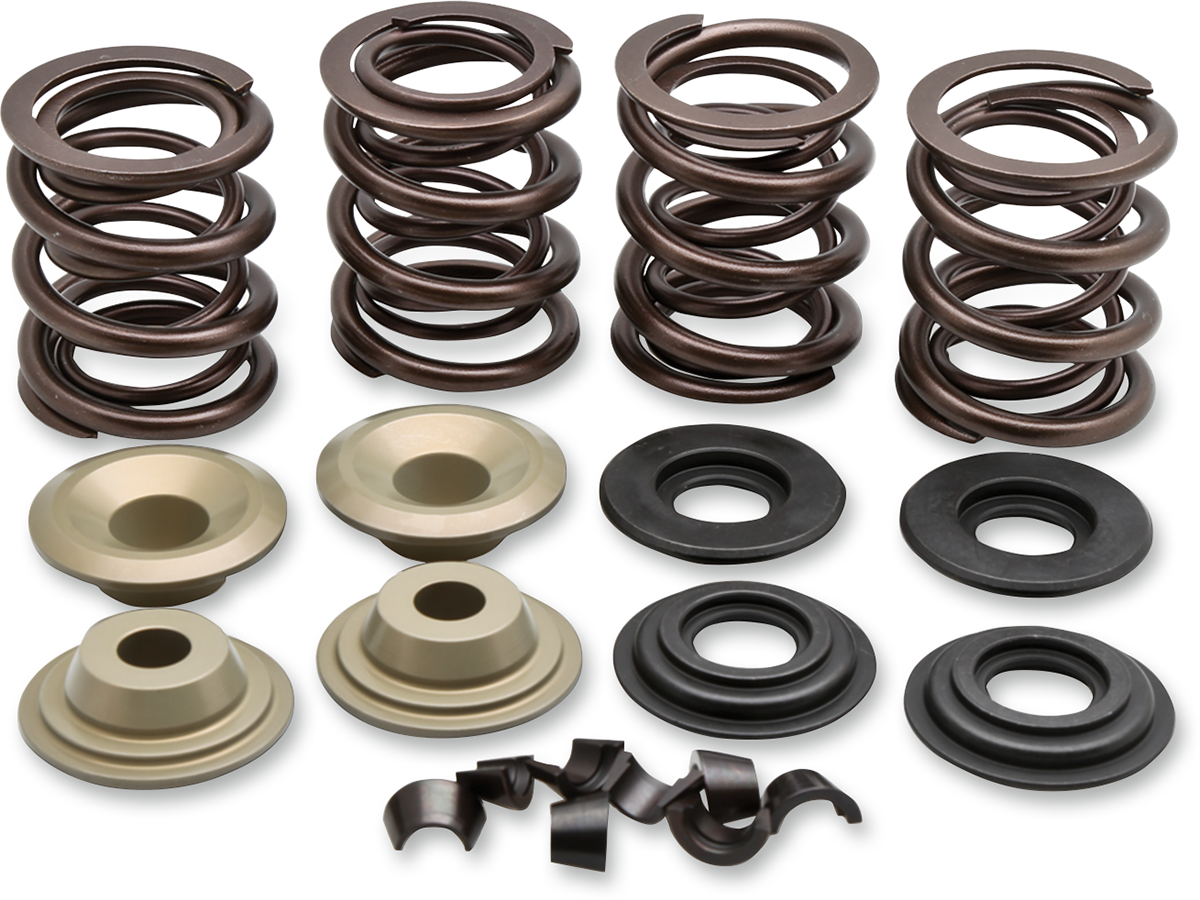 Valve Spring Kit 1979 - 1984