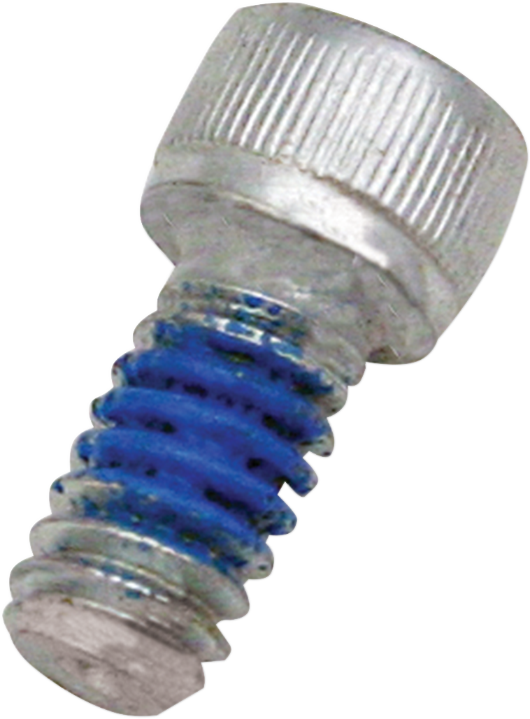 Replacement Air Cleaner Screw - Backplate - 1/4\"-20 x 1/2\"