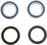 Wheel Bearing Kit - Front 2009 - 2020