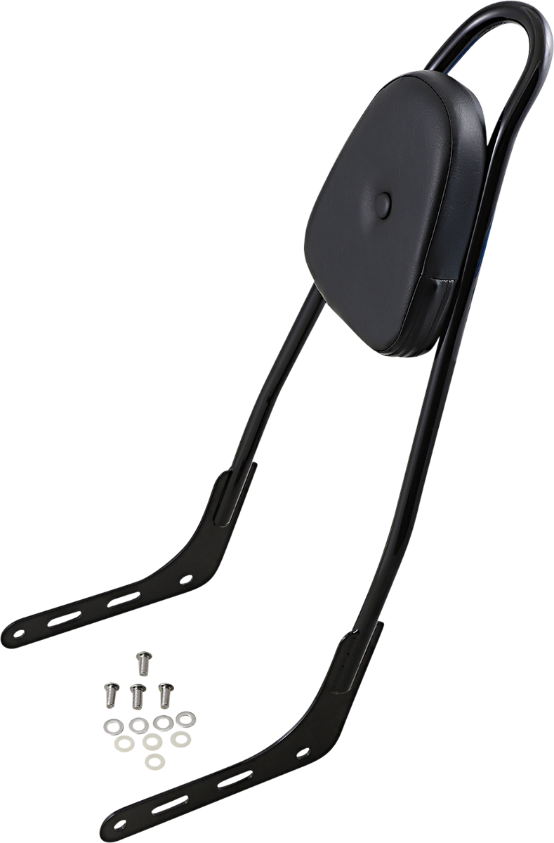 One-Piece Sissy Bar - Gloss Black - Skull - With Pad 2018 - 2023