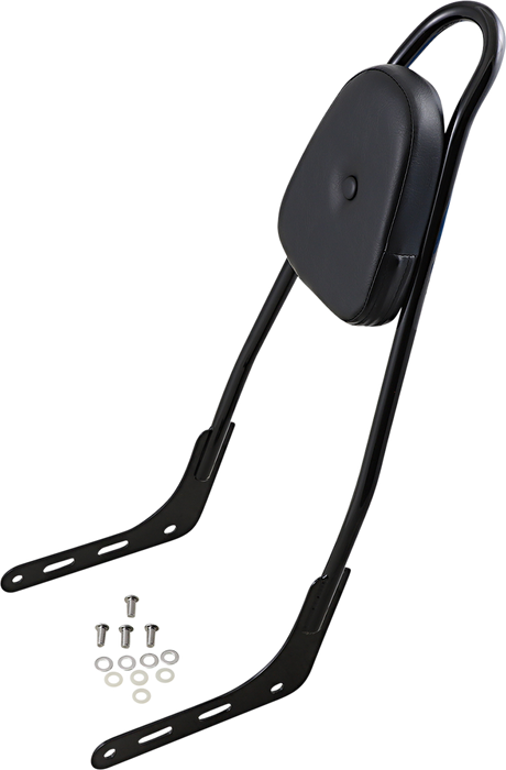 One-Piece Sissy Bar - Gloss Black - Skull - With Pad 2018 - 2023