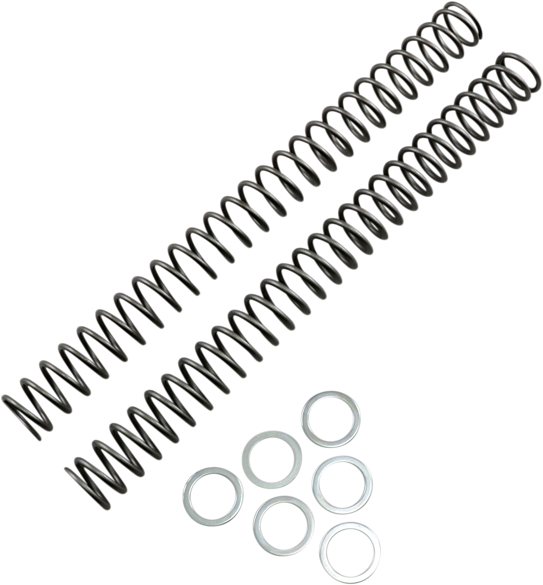 Fork Springs - 0.42 kg/mm 2007 - 2012