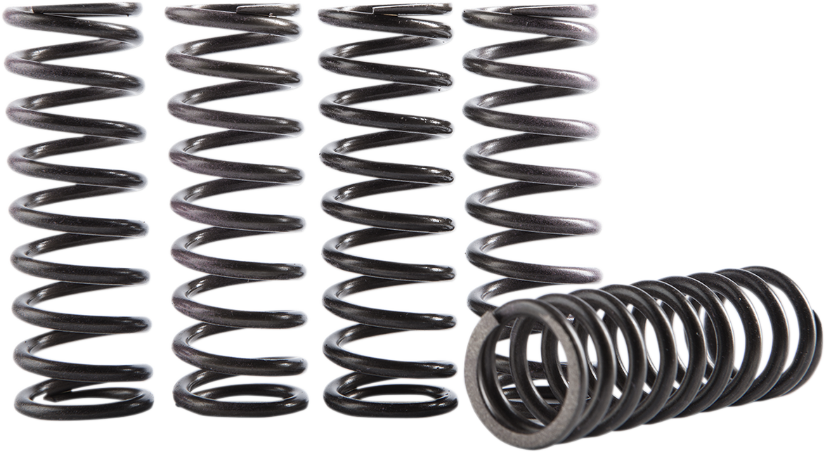 Clutch Spring Kit 1998 - 2004