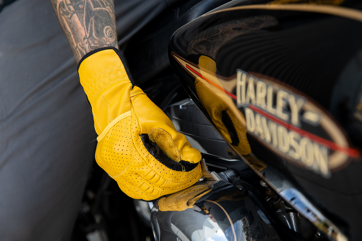 Borrego Gloves - Gold/Black - Small