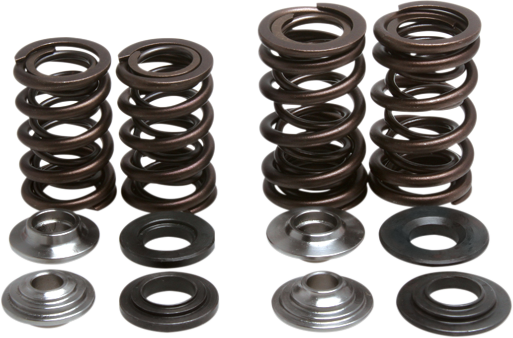 Valve Spring Kit 2004 - 2005