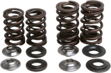 Valve Spring Kit 2004 - 2005