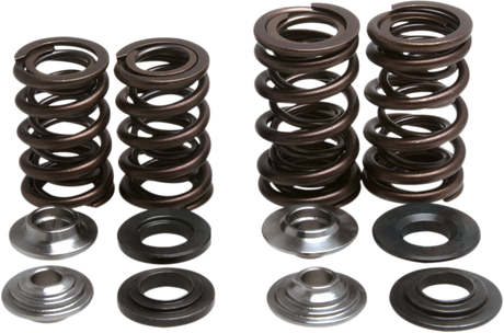 Valve Spring Kit 2004 - 2005