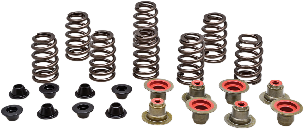 Valve Spring Kit 2014 - 2022