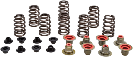 Valve Spring Kit 2014 - 2022