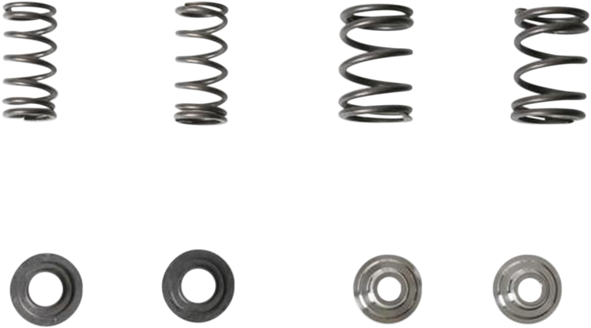 Valve Spring Kit 1981 - 1987