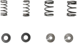 Valve Spring Kit 1981 - 1987