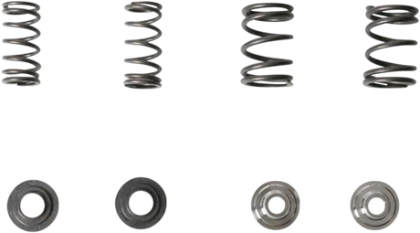 Valve Spring Kit 1981 - 1987