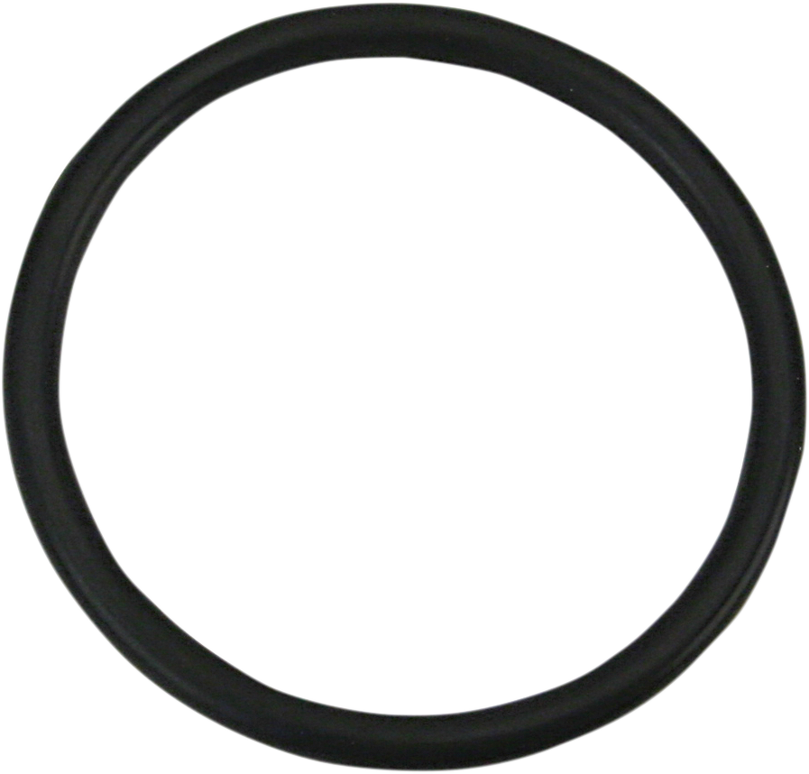 Viton O-Ring