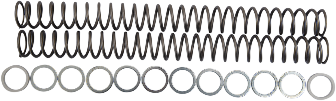 Fork Springs - 0.48 kg/mm 2003 - 2016