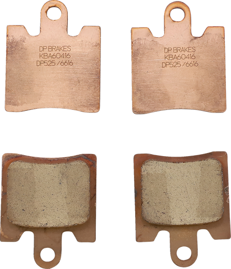 Standard Brake Pads - Trophy 1215 SE 2013 - 2015