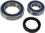 Chain Case Bearing and Seal Kit 2008 - 2013