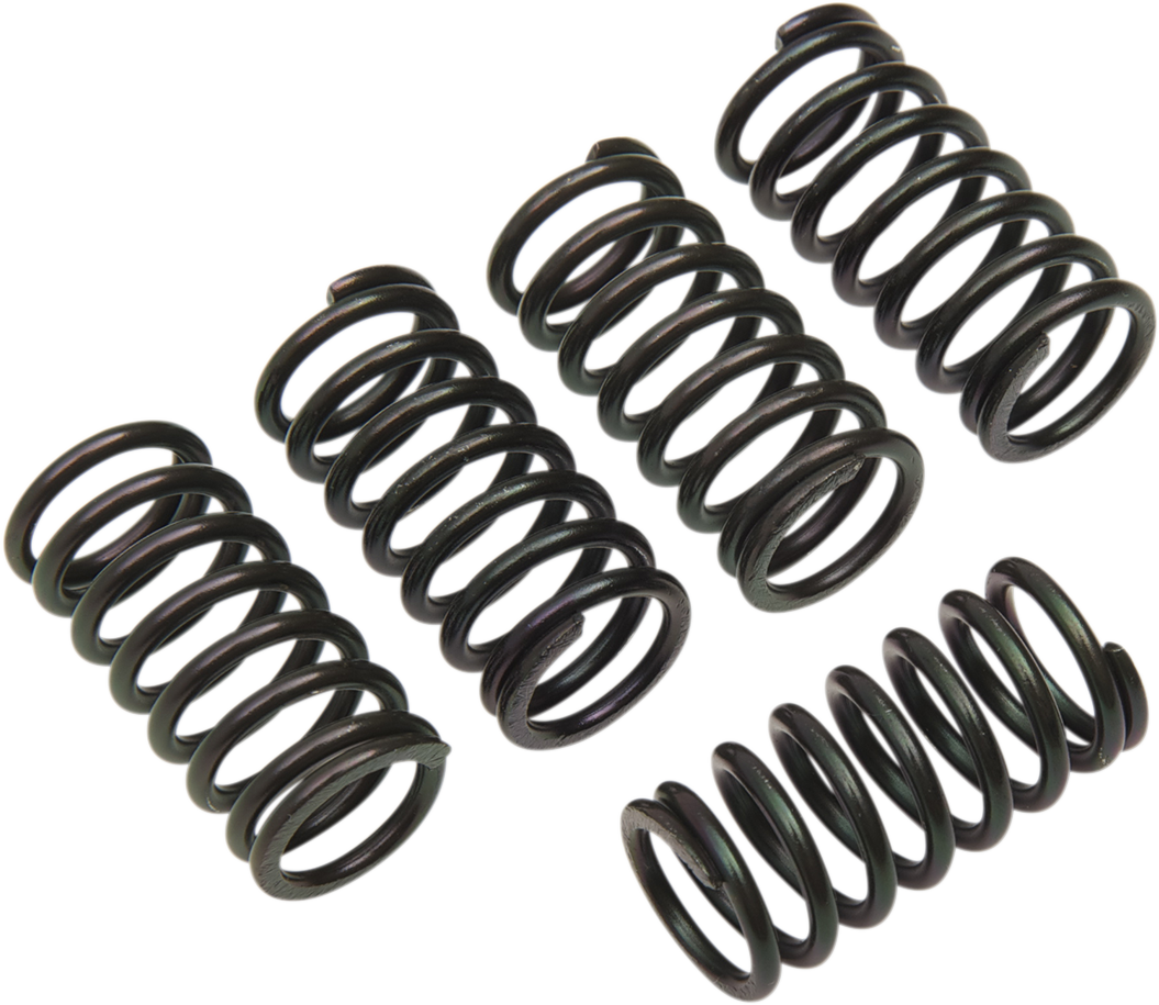 Clutch Spring Set 2000 - 2007