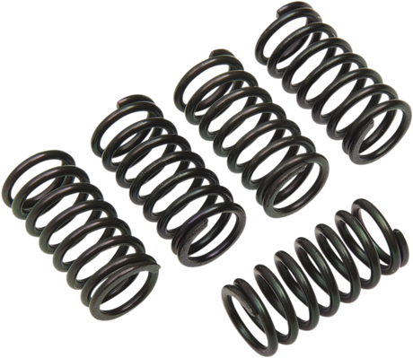 Clutch Spring Set 2000 - 2007