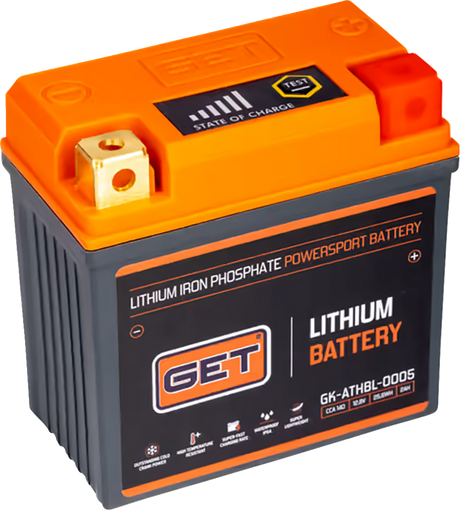 Lithium Iron Battery 1985 - 2024