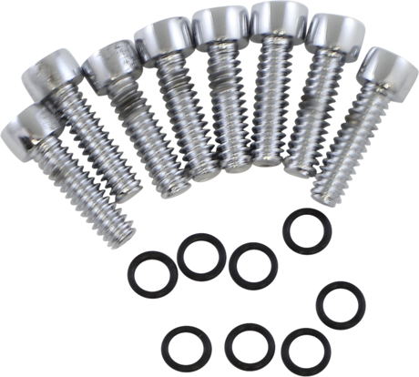 Turn Signal Lens Bolt Kit 1986 - 2001