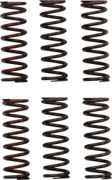 Clutch Springs - CRF 450R 2021 - 2022