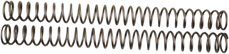 Front Fork Springs - 0.39 kg/mm 2006 - 2022