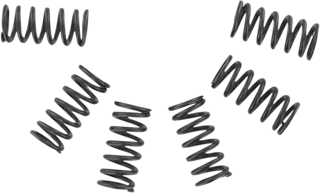 Clutch Springs 1973 - 2011