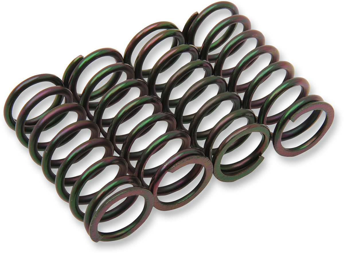 Clutch Spring Set 1996 - 2023