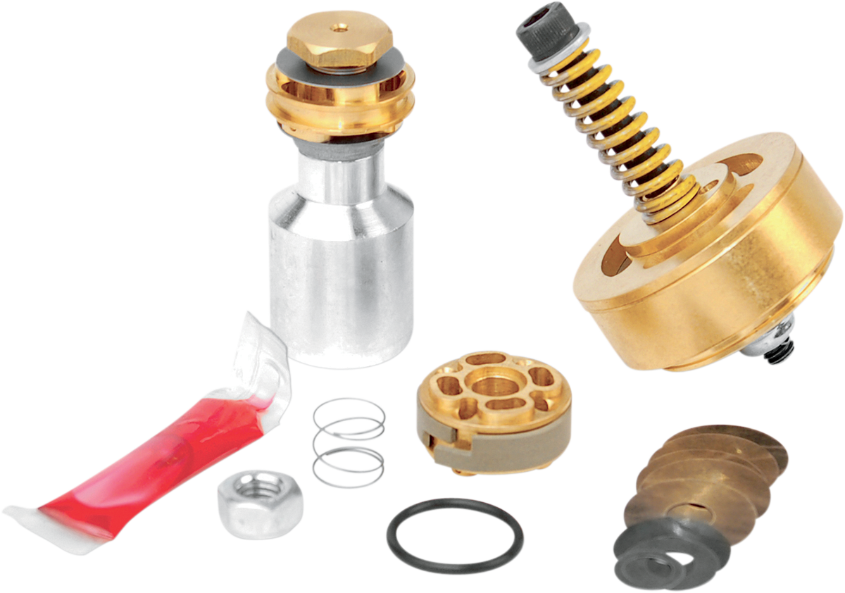 Gold Valve Fork Kit 2001 - 2017