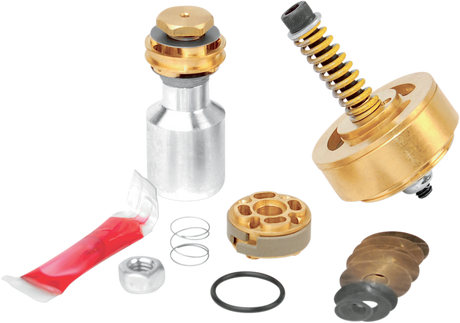 Gold Valve Fork Kit 2001 - 2017