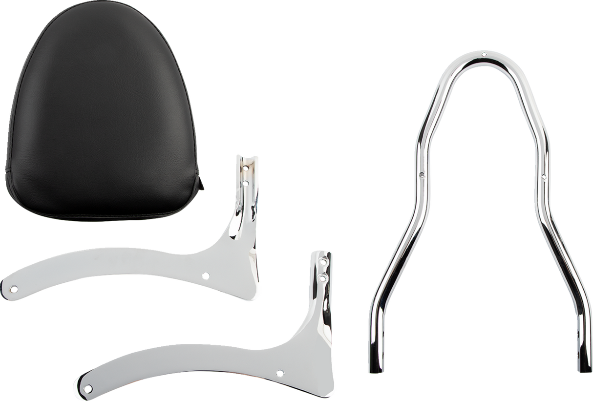 Sissy Bar Kit 2000 - 2009