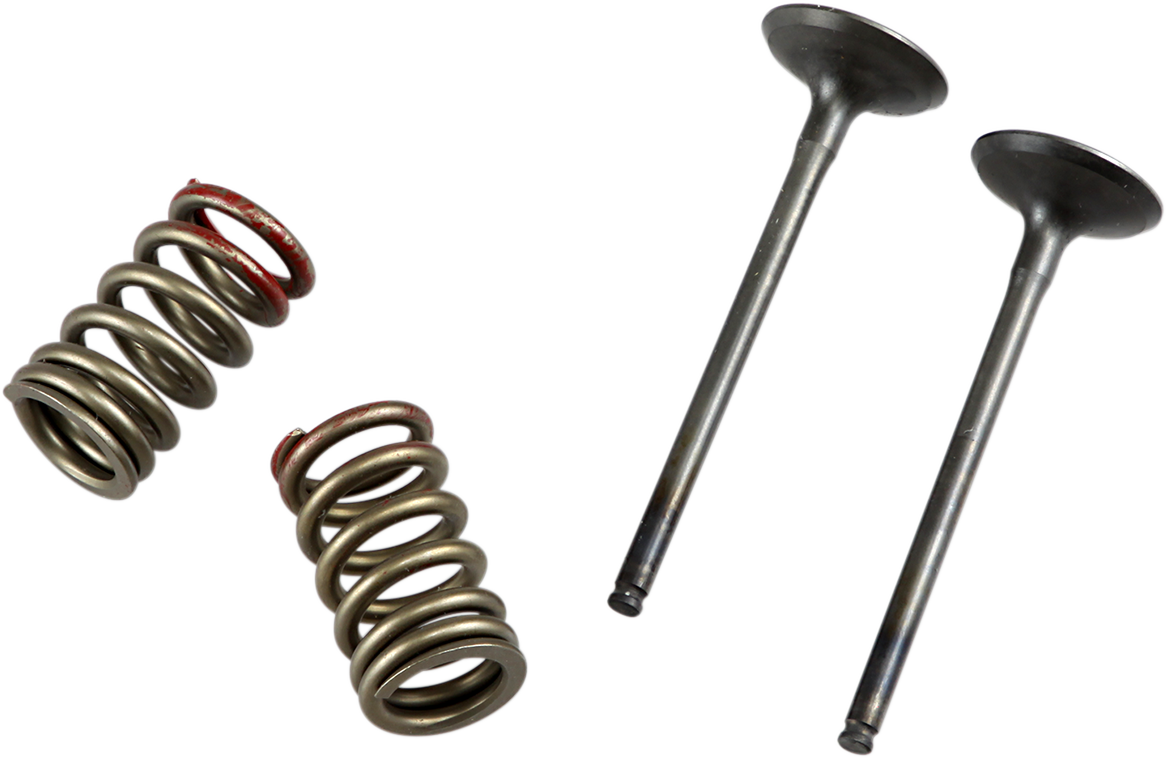 Valve and Spring Kit - Exhaust - Kawasaki | Suzuki 2004 - 2016