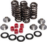 Valve Spring Kit 2003 - 2019