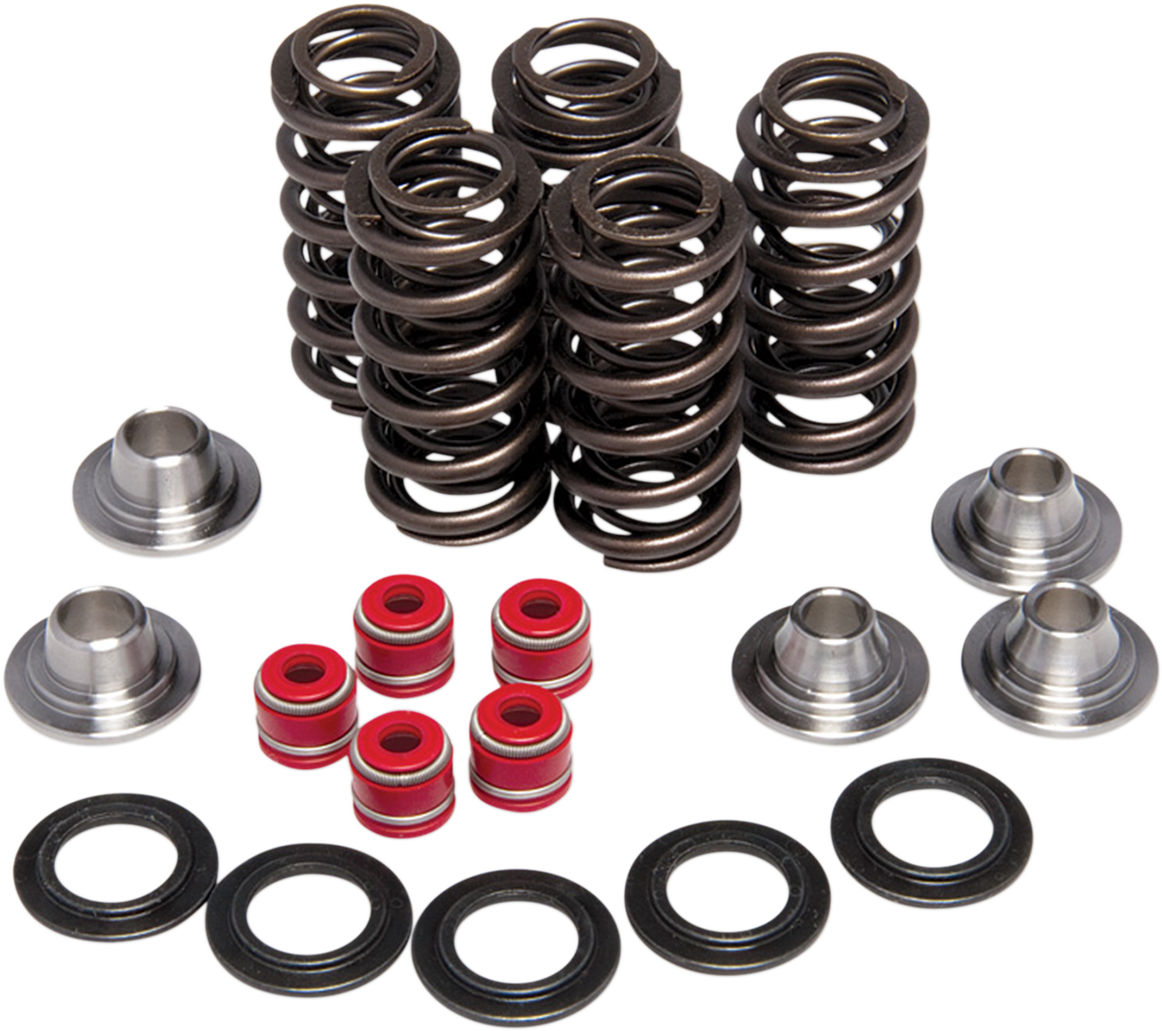 Valve Spring Kit 2003 - 2019