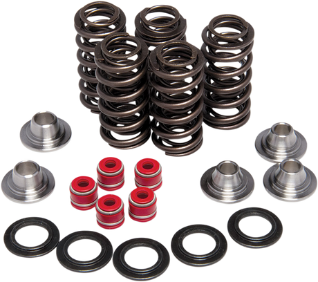 Valve Spring Kit 2003 - 2019