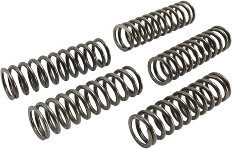 Clutch Springs 2016 - 2017