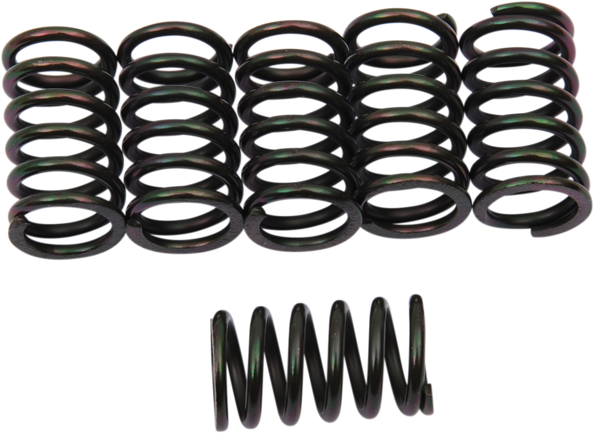 Clutch Springs 1979 - 2006