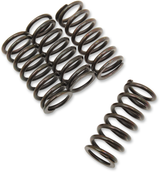 Clutch Spring Set 1992 - 2022