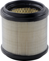 Air Filter - Polaris 1988 - 2000