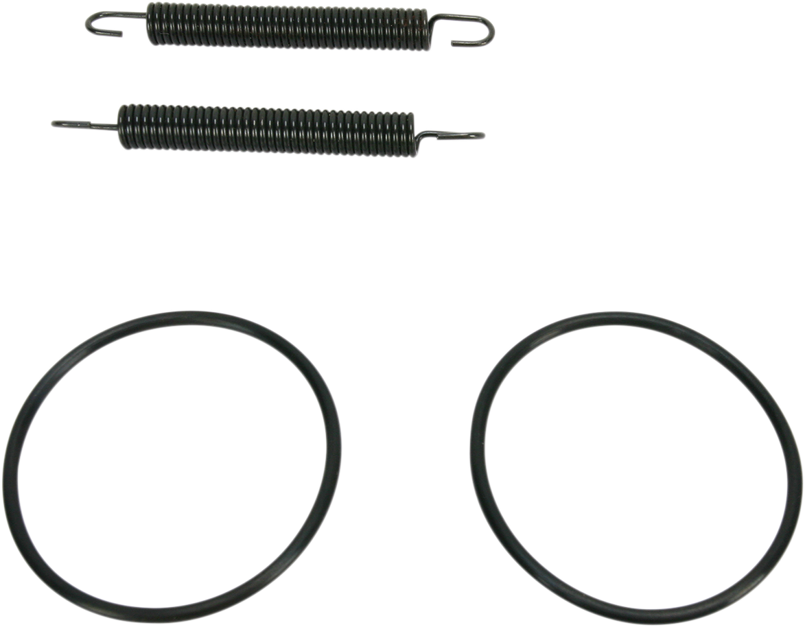 Pipe Spring/O-Rings Kit 1989 - 2001