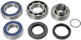 Chain Case Bearing and Seal Kit 2009 - 2013