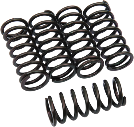 Clutch Springs 1987 - 2022