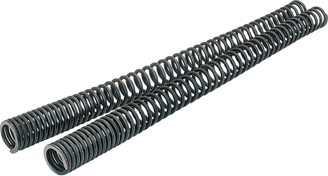 Fork Springs - 41.00 mm 2002 - 2005