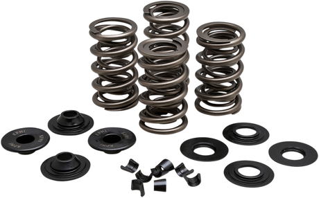 Spring Kit - .675\" - Evolution/Twin Cam 1984 - 2004