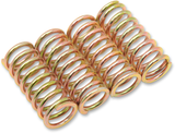 Clutch Spring Set 1998 - 2022