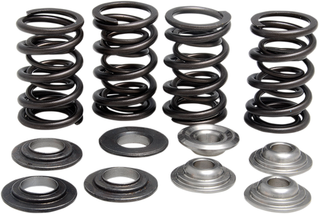 Valve Spring Kit 2011 - 2020