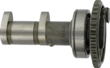 Camshaft 2006 - 2009