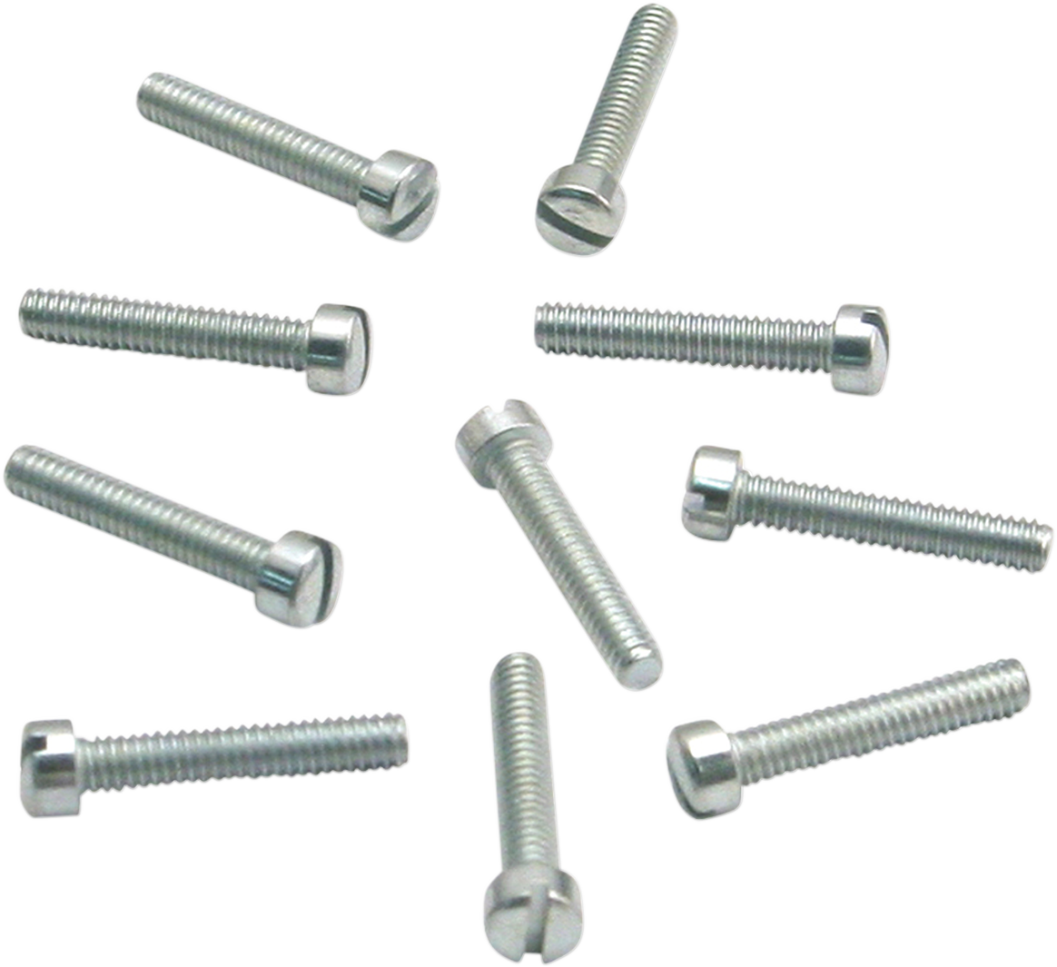 Slotted Flat Head Screws - 10-Pack